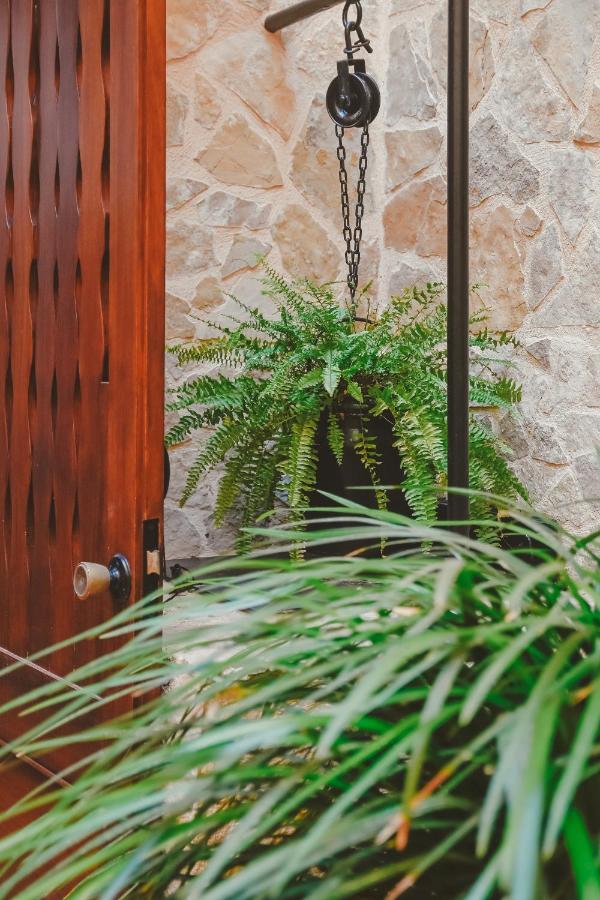 Hostal Can Gallu Cala Ratjada  Ngoại thất bức ảnh